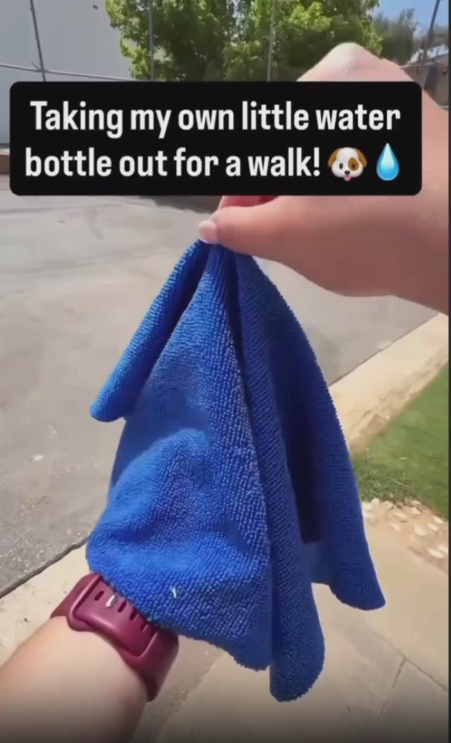 2 in 1 portable stainless steel pet water bottle